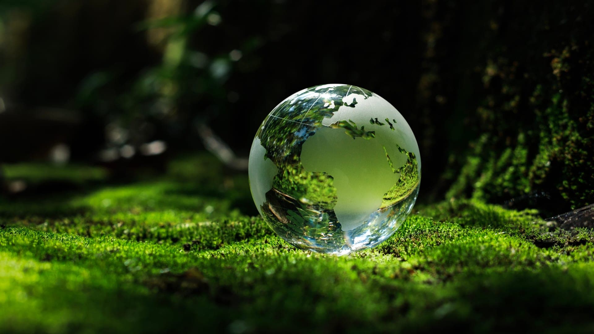 ESG & Sustainability